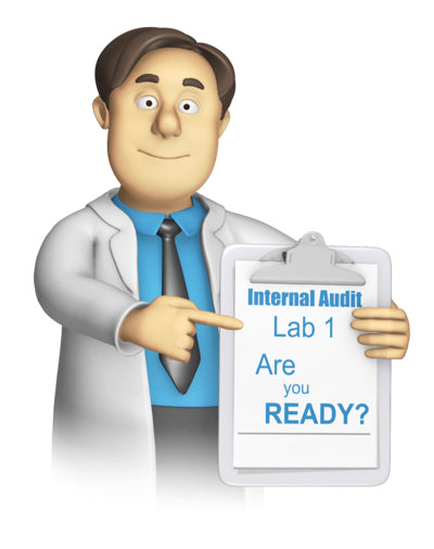 Is there a change to auditing in the revision to the ISO/IEC 17025:2017 standard?