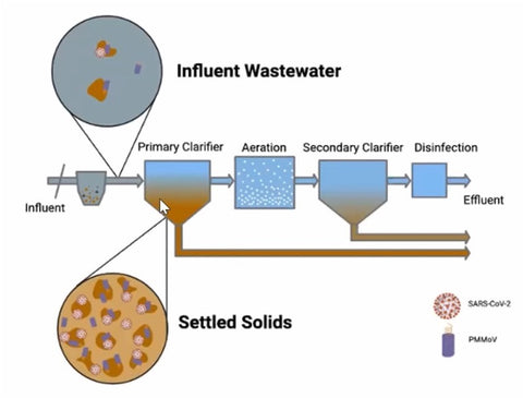 Webinar recording - Wastewater Surveillance as a Window on Community Health