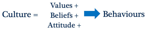 Webinar recording - Tips for the Development of a Positive Workplace Culture
