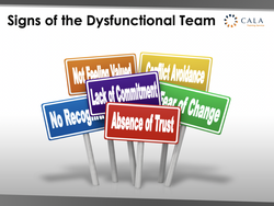 Webinar recording - Transforming the Dysfunctional Team