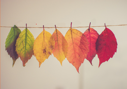 Self-paced Leadership course - Coping With Workplace Change