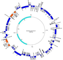 Webinar recording - The Emerging Field of Environmental Genomics