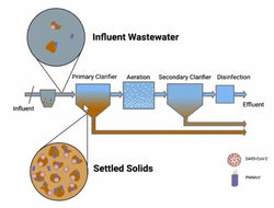 Webinar recording - Wastewater Surveillance as a Window on Community Health