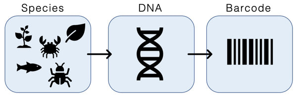 Webinar recording - Advancements in the Field of Environmental DNA (eDNA) Monitoring