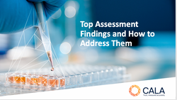 Webinar recording - Top Assessment Findings and How to Address Them